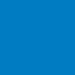 Shy Blue